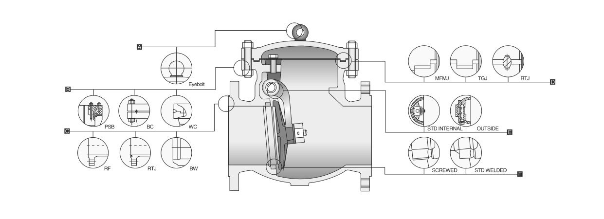Check valve internal hinge pin