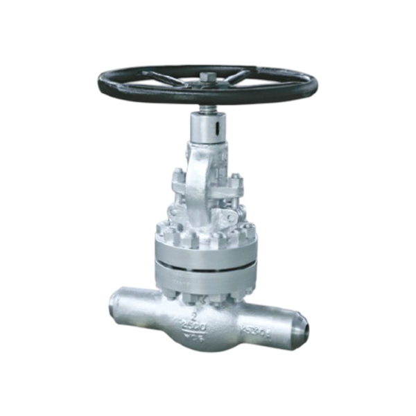 Forged carbon steel globe valves class 2500